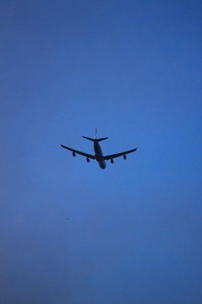 IMG_3202_resize.JPG